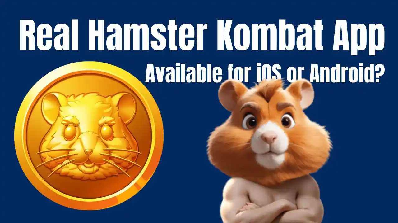 Real Hamster Kombat App