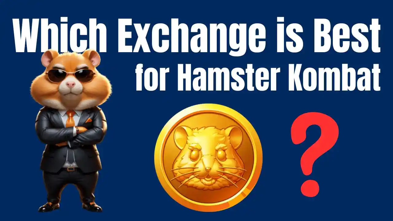 Which Exchange is Best for Hamster Kombat in India